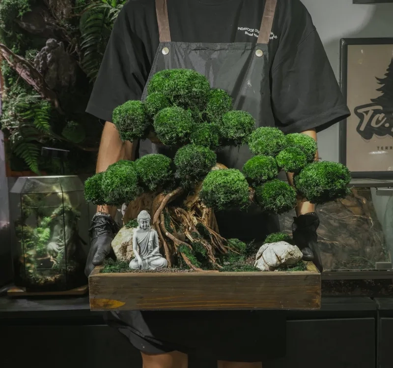 Vẻ đẹp bonsai miền Tây sông nước