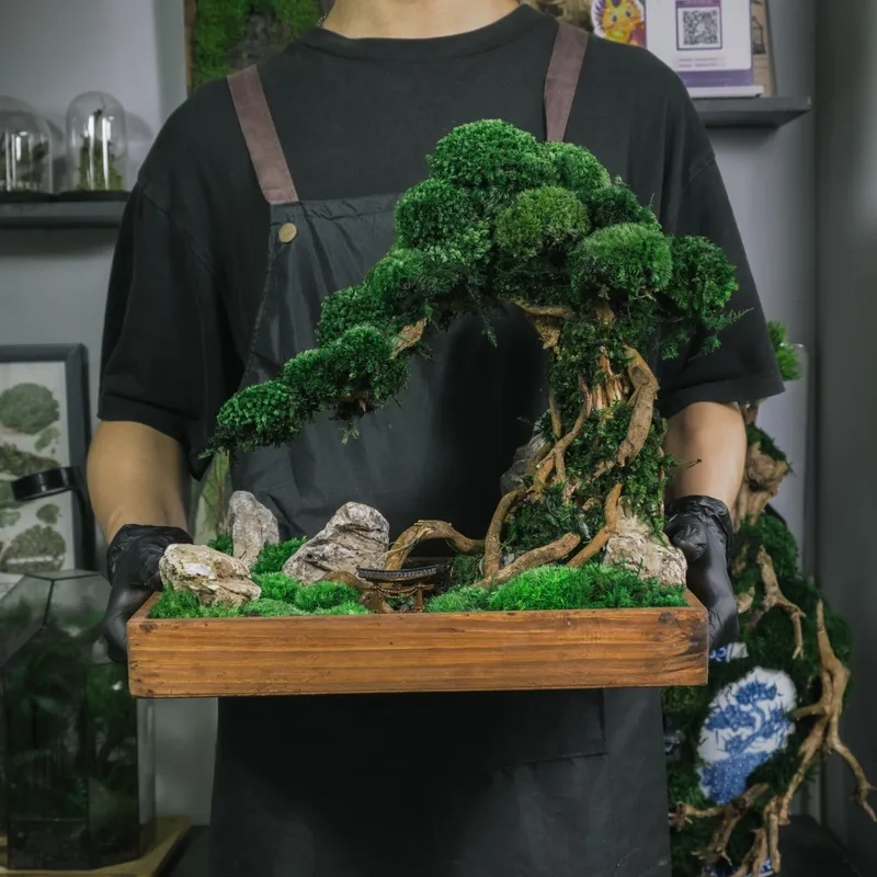 Nét độc đáo bonsai miền Bắc xưa