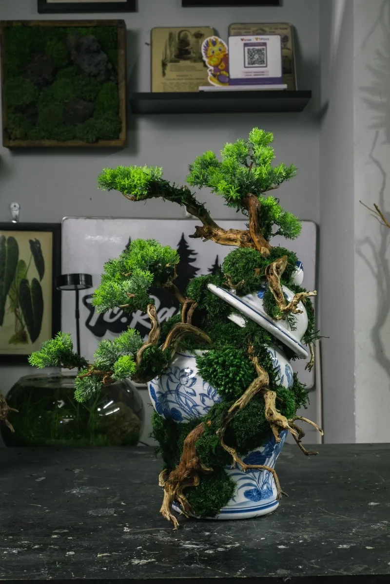 Khám phá bonsai Việt Nam xưa và nay