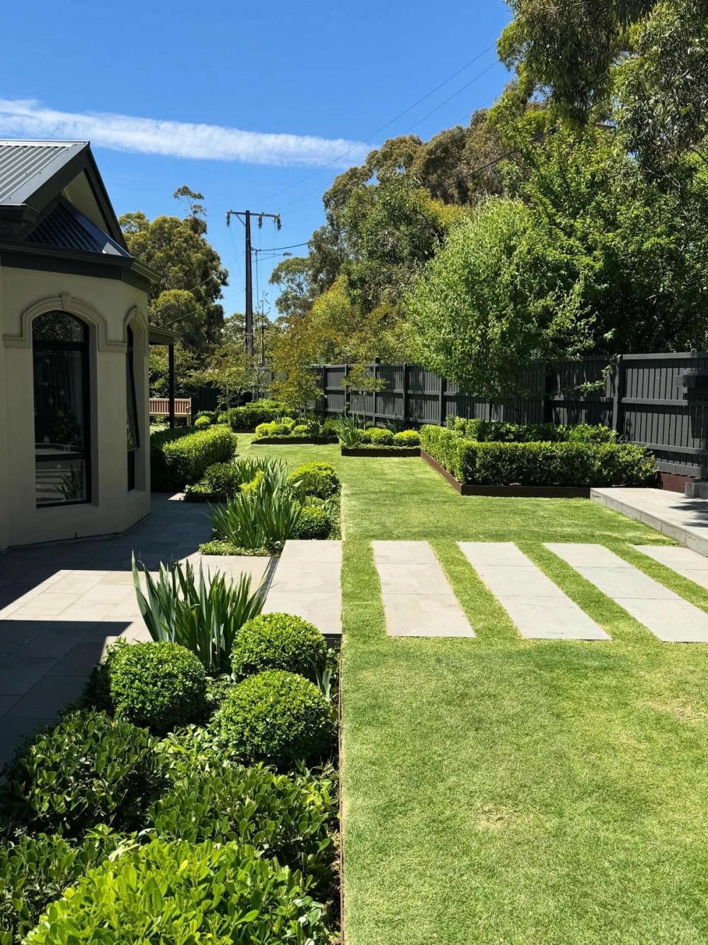 Cây bóng mát chịu nắng hạn phù hợp với khí hậu khắc nghiệt