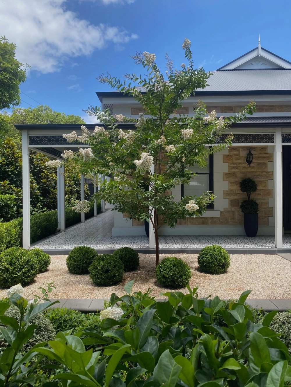 Cây bóng mát ăn quả vừa che mát vừa cho thu hoạch trái