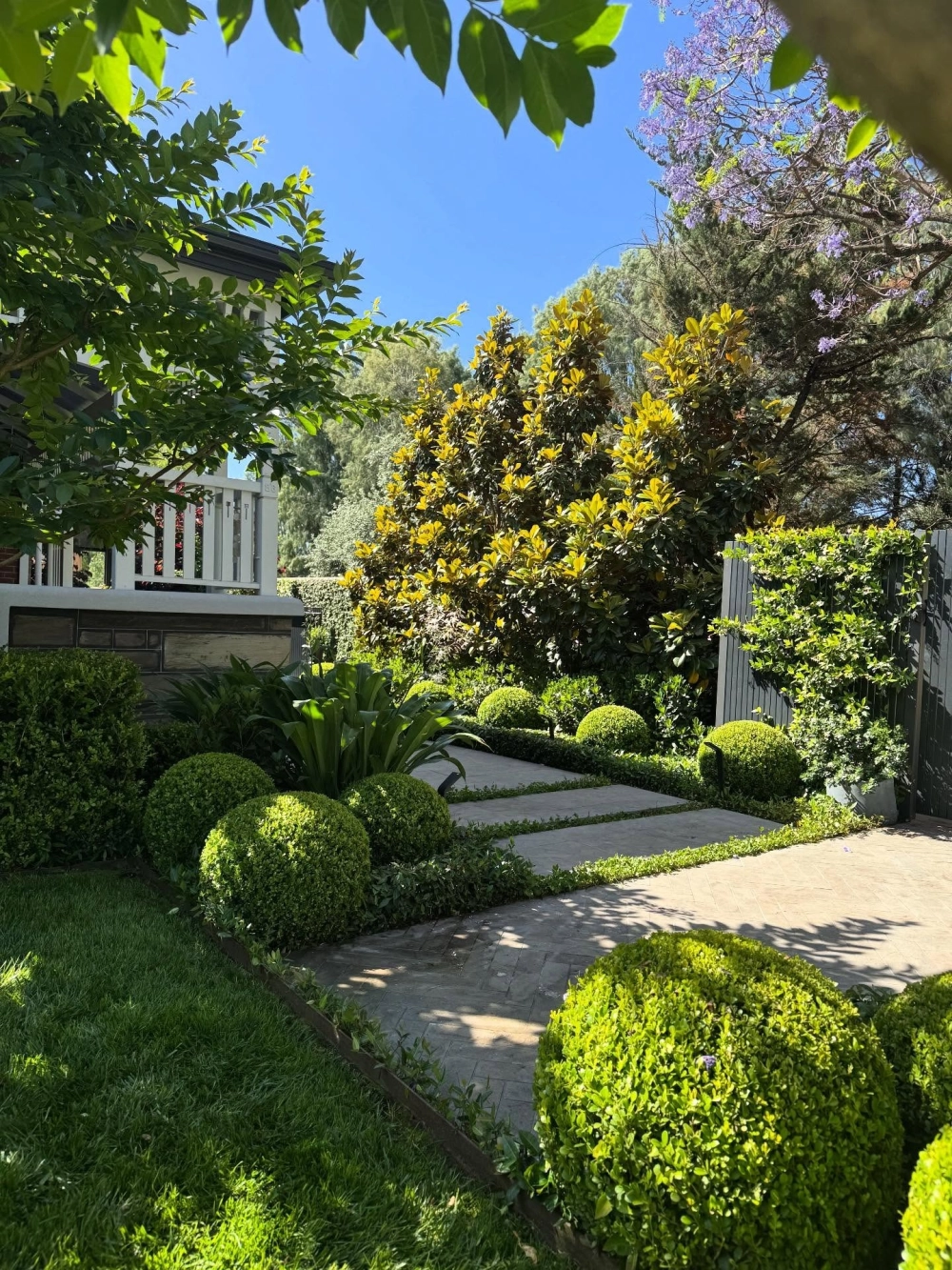 Cây bóng mát có hoa đẹp trồng dọc lối đi sân vườn