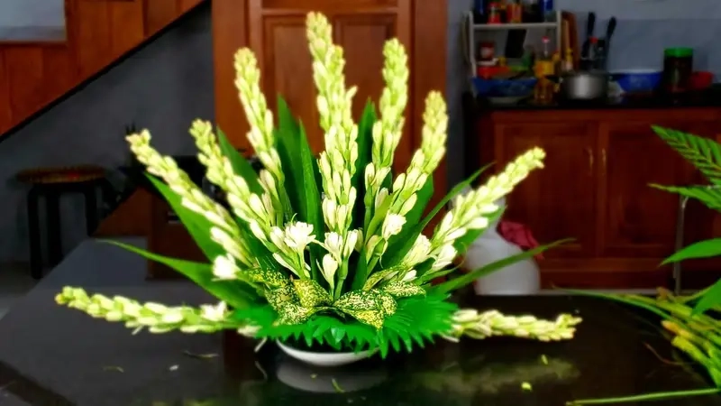 Tìm hiểu cây để bàn thờ thần tài nên trồng loại cây gì