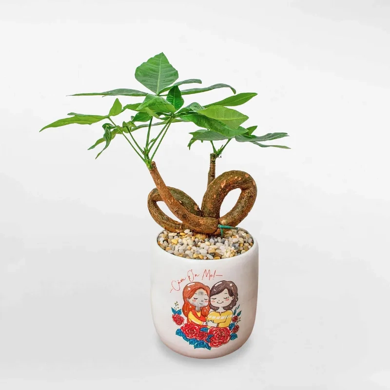 Vẻ đẹp hiếm gặp từ cây kim ngân có hoa