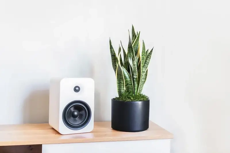 Hiệu quả của cây hút bức xạ điện tử khi dùng máy tính