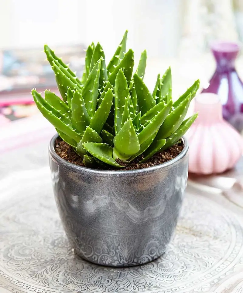 Nghiên cứu cây hút bức xạ thiết bị điện tử đáng tin