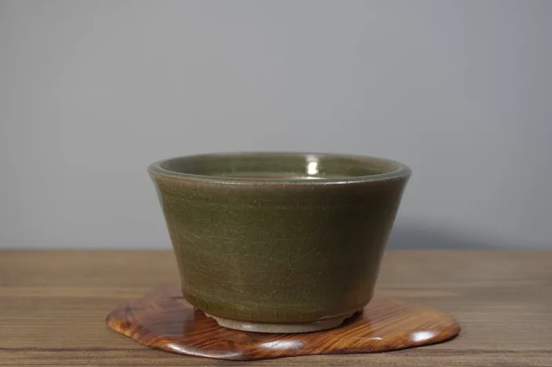 Những mẫu chậu tròn bonsai đẹp