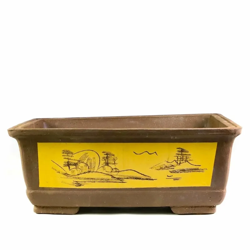 Thăm cơ sở sản xuất chậu bonsai