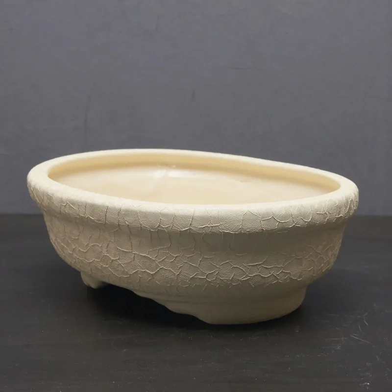 Kiểu chậu bonsai xi măng bền bỉ