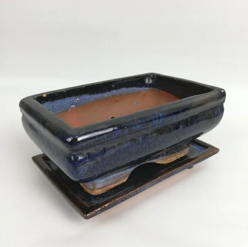 Những chiếc chậu bonsai mini xinh