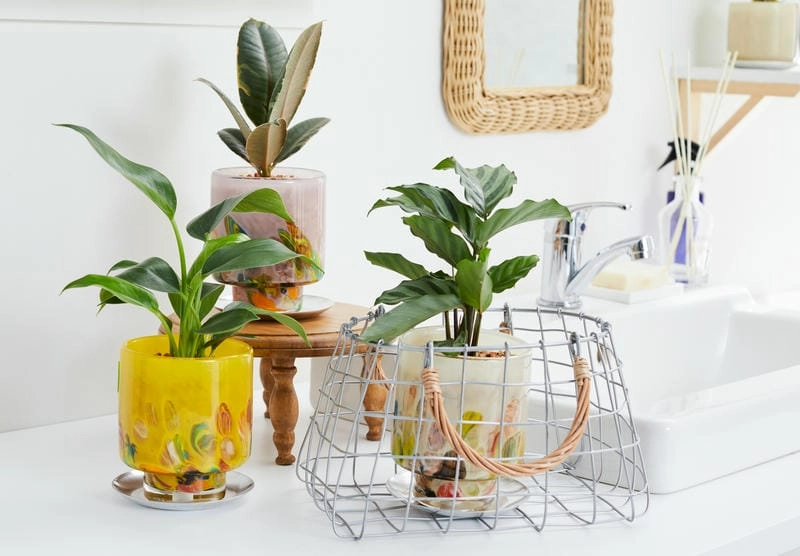 Các kiểu chậu hoa đẹp đa dạng phong cách