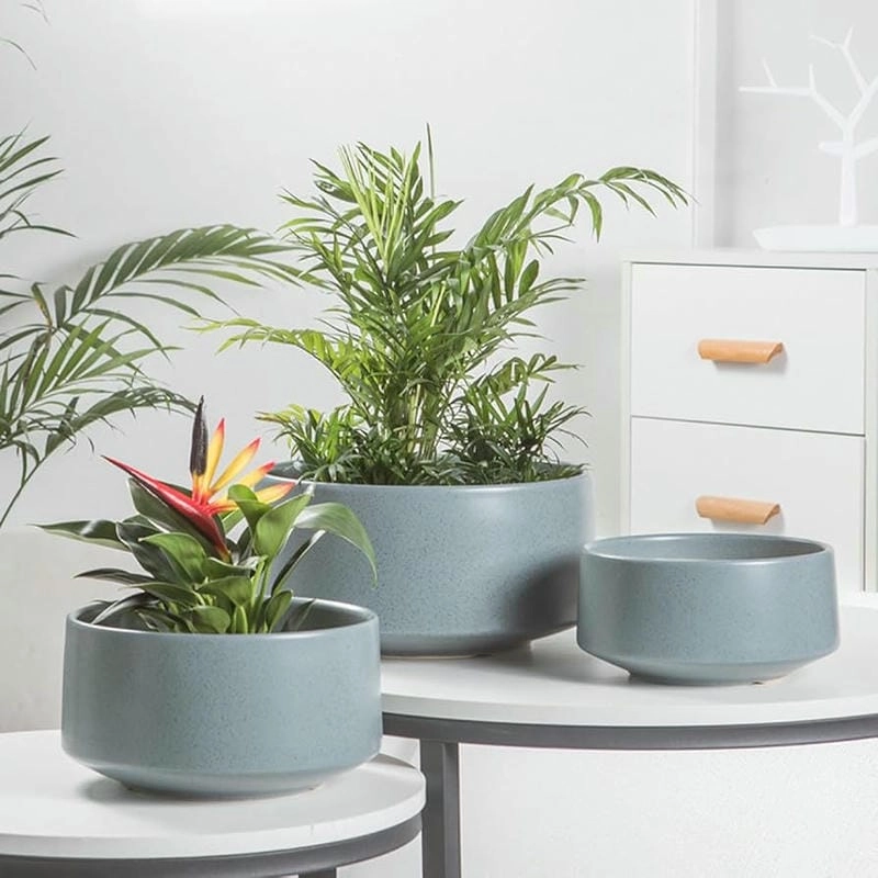 Các mẫu chậu hoa phong phú lựa chọn