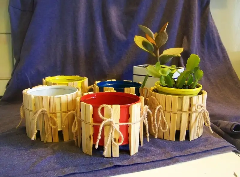 Hình nền chậu hoa dịu mắt tinh tế