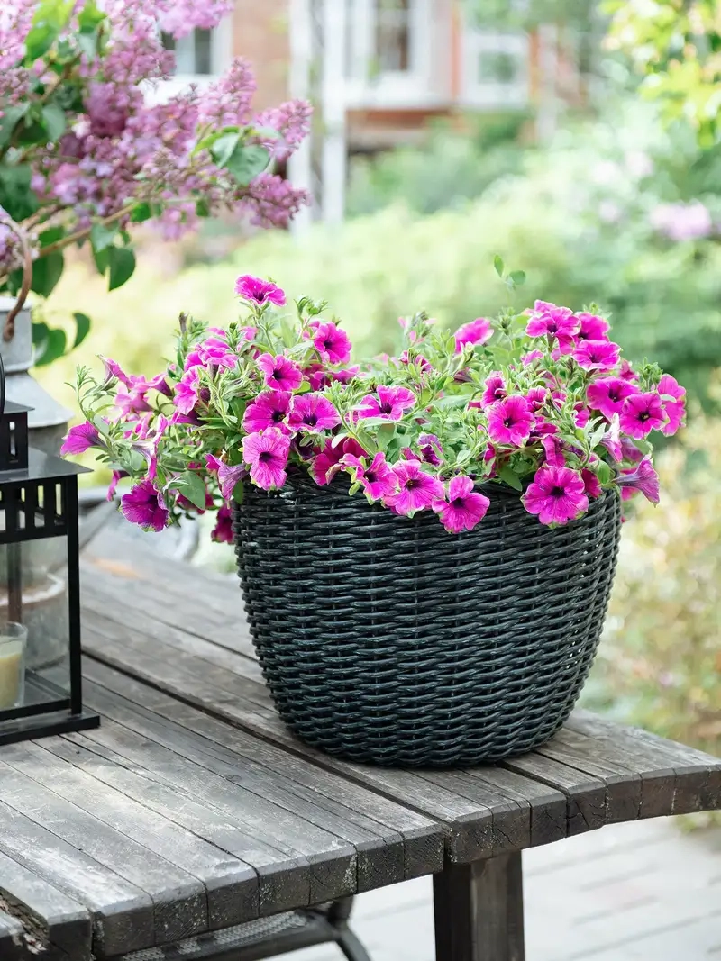 Chậu hoa đơn giản mà sang trọng