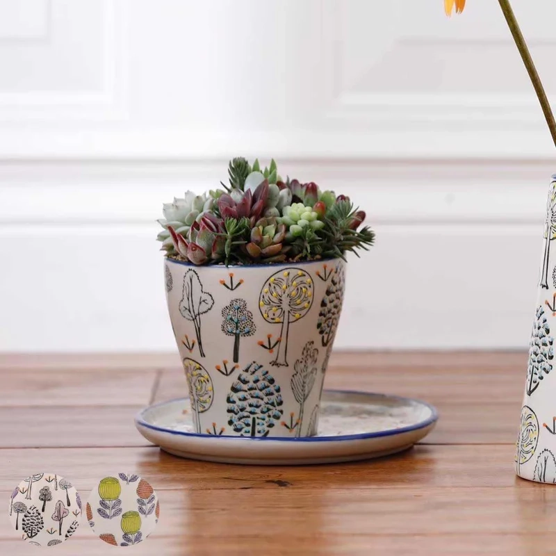 Thêm điểm nhấn với chậu sen đá trang trí dễ thương