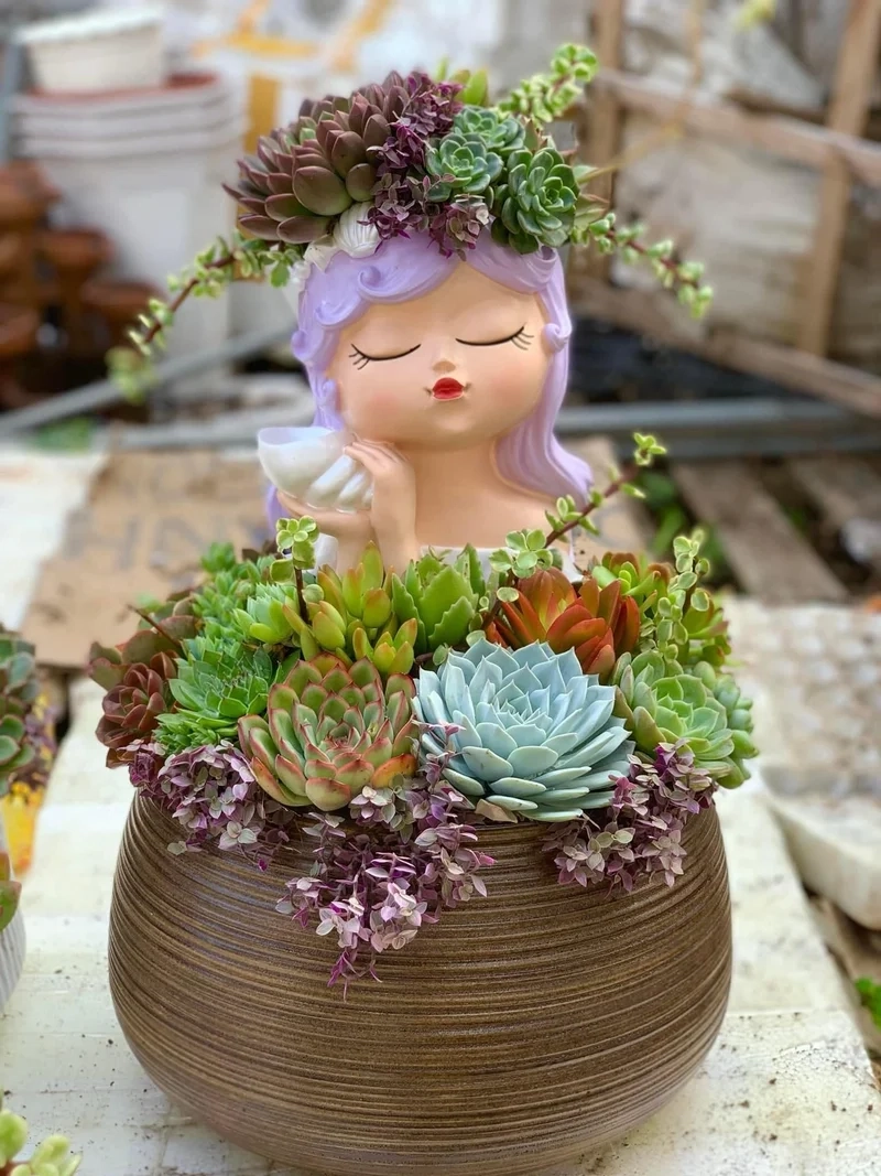 Góc nhỏ nhà bạn tươi xanh nhờ chậu sen đá đơn giản