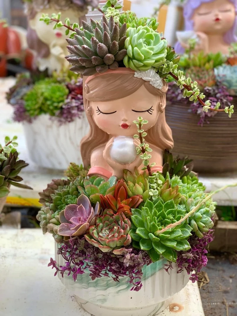 Tạo nghệ thuật mini với chậu sen đá nghệ thuật