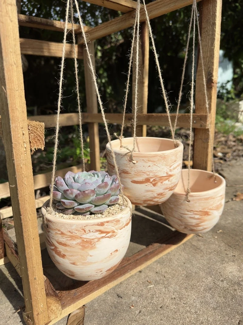 Khám phá nhiều kiểu dáng chậu sen đá nhiều mẫu