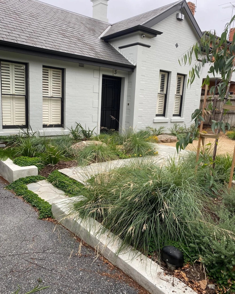 Cách chăm sóc cỏ sân vườn mùa nắng để luôn xanh tốt