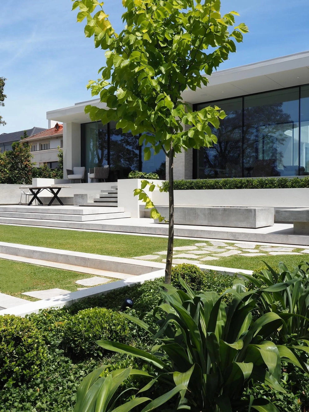 Cỏ nhung nhật được cắt tỉa gọn gàng vào mùa hè