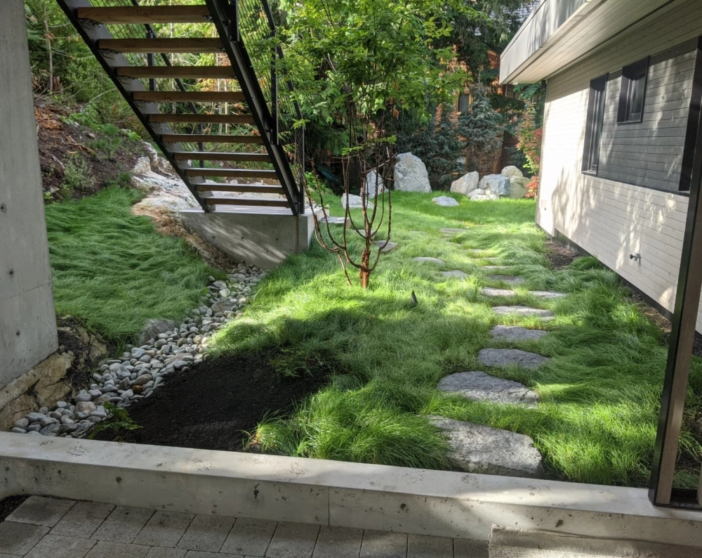 Kỹ thuật trồng cỏ sân vườn đúng cách giúp rễ bám sâu