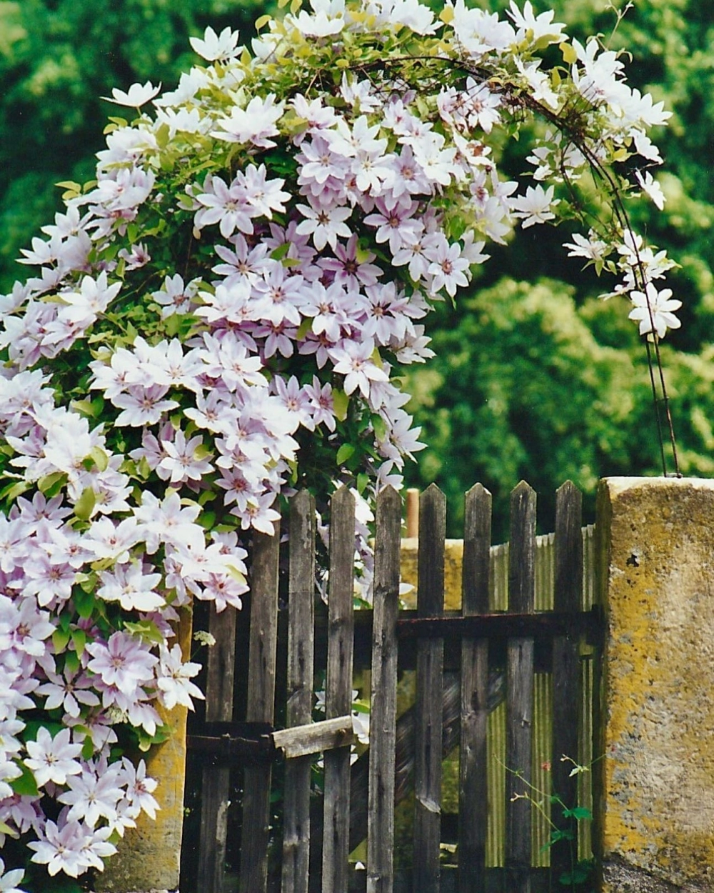 Mẫu cổng nhà vườn biệt thự hoành tráng và đẳng cấp