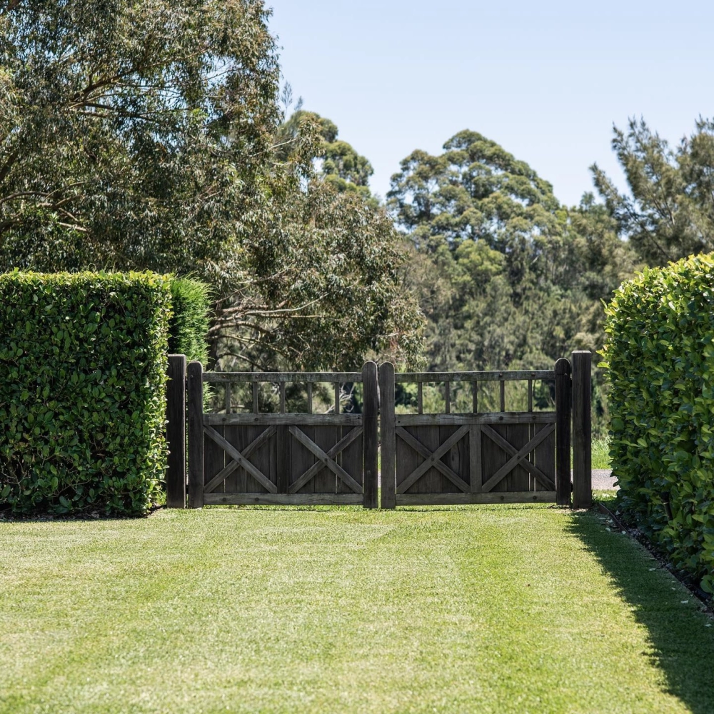 Hình ảnh cổng nhà vườn trồng hoa giấy rực rỡ sắc hồng