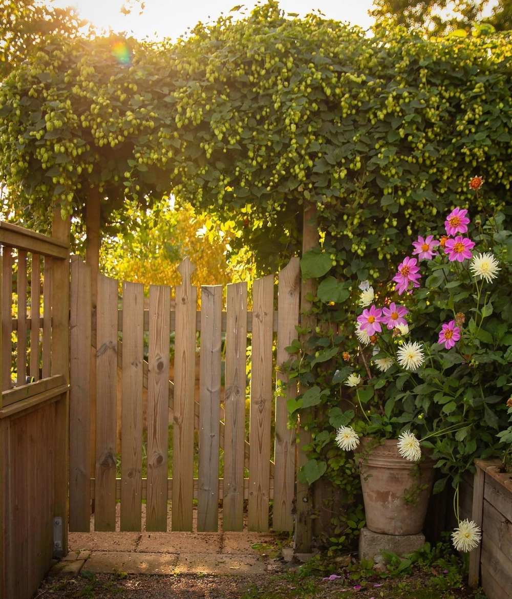 Mẫu cổng nhà vườn bằng sắt mỹ thuật tinh xảo cho biệt thự