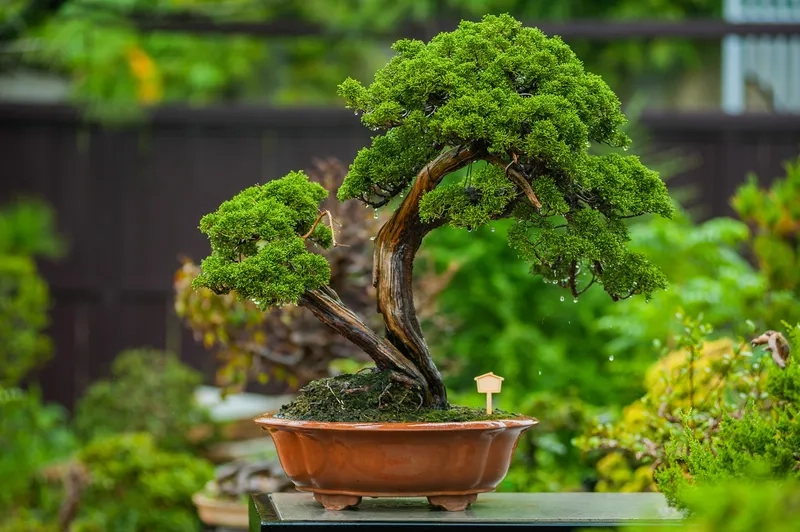 Mẫu dáng mẫu tử ấm áp tinh tế