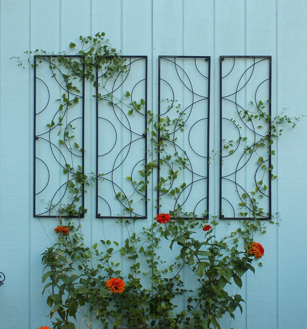 Ảnh giàn hoa đẹp hd sắc nét cuốn hút