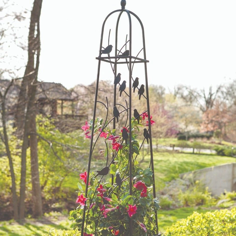 Xem giàn hoa đẹp để thêm ý tưởng trang trí