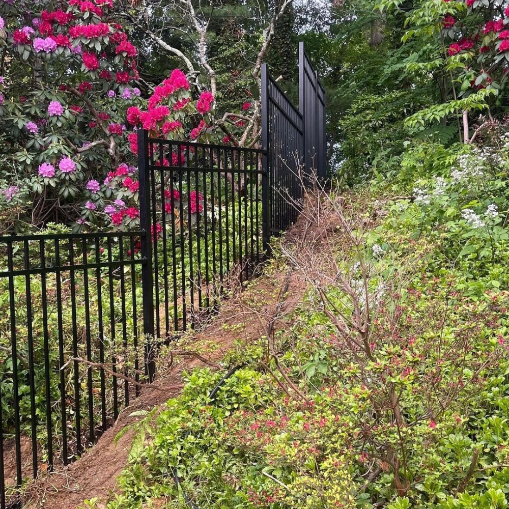 Không gian xanh mát nhờ hàng rào sân vườn trồng cây xanh tự nhiên