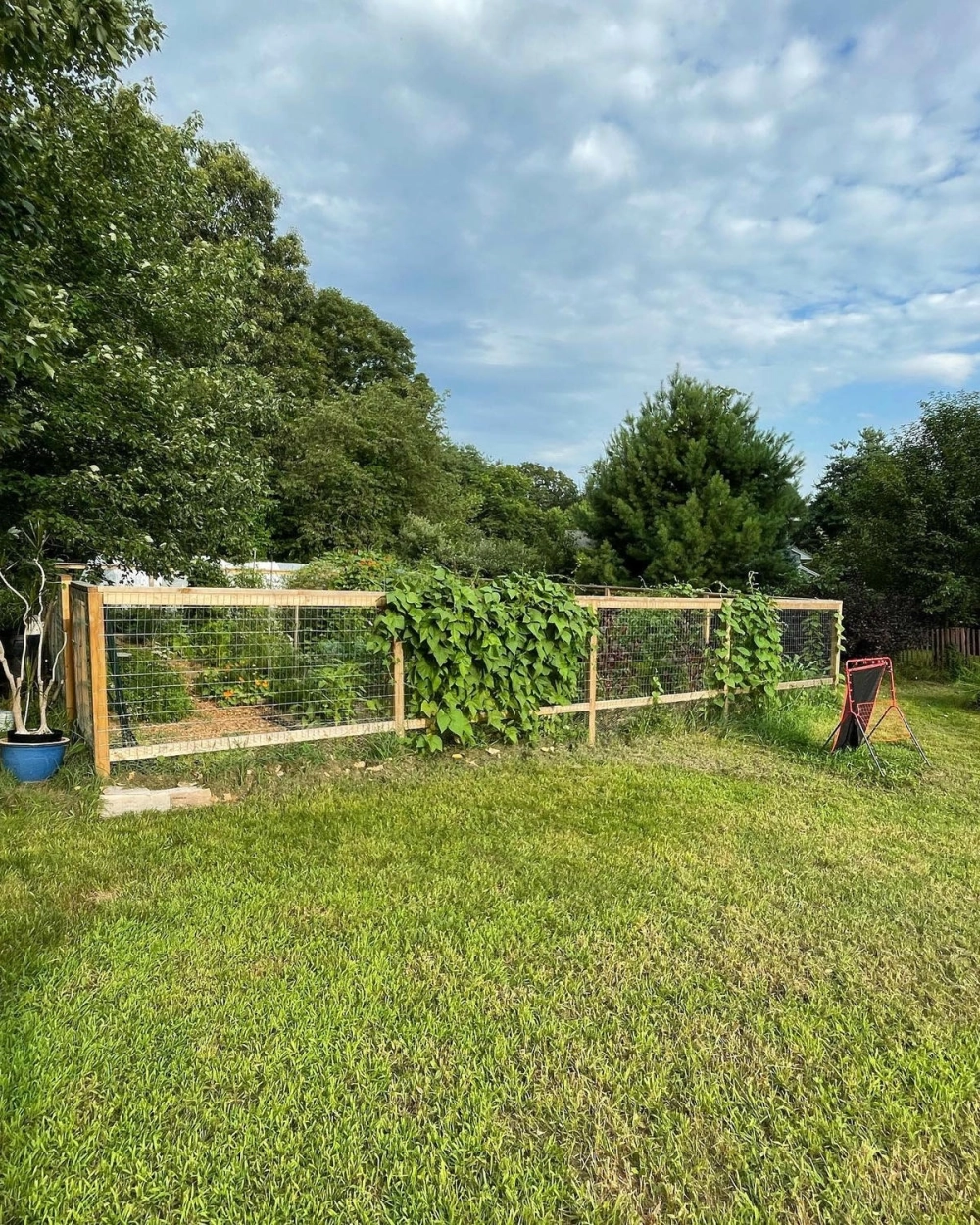 Ý tưởng trang trí hàng rào sân vườn bằng phụ kiện sáng tạo