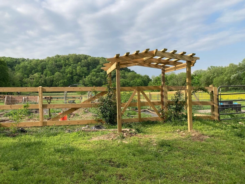 Mẫu hàng rào sân vườn bằng gỗ mộc mạc cho nhà phố