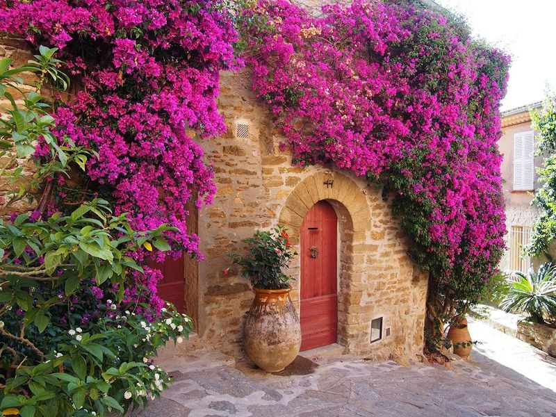 Ảnh bìa hoa giấy tạo ấn tượng dịu dàng