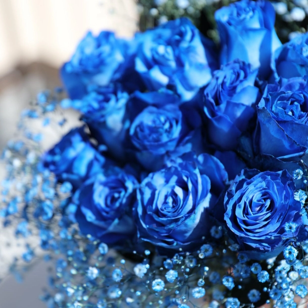 Cây hoa hồng xanh tốt biểu tượng của sự bền bỉ