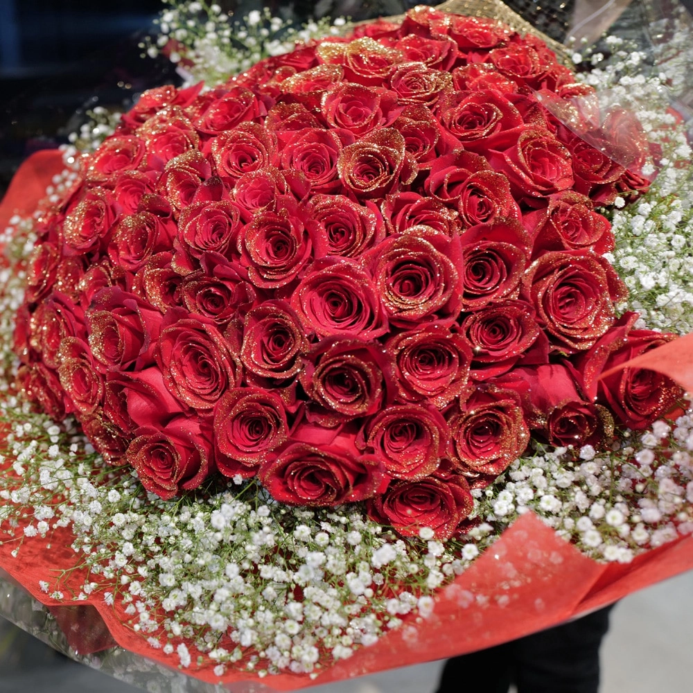 Hoa hồng rực rỡ lan tỏa sức sống mạnh mẽ