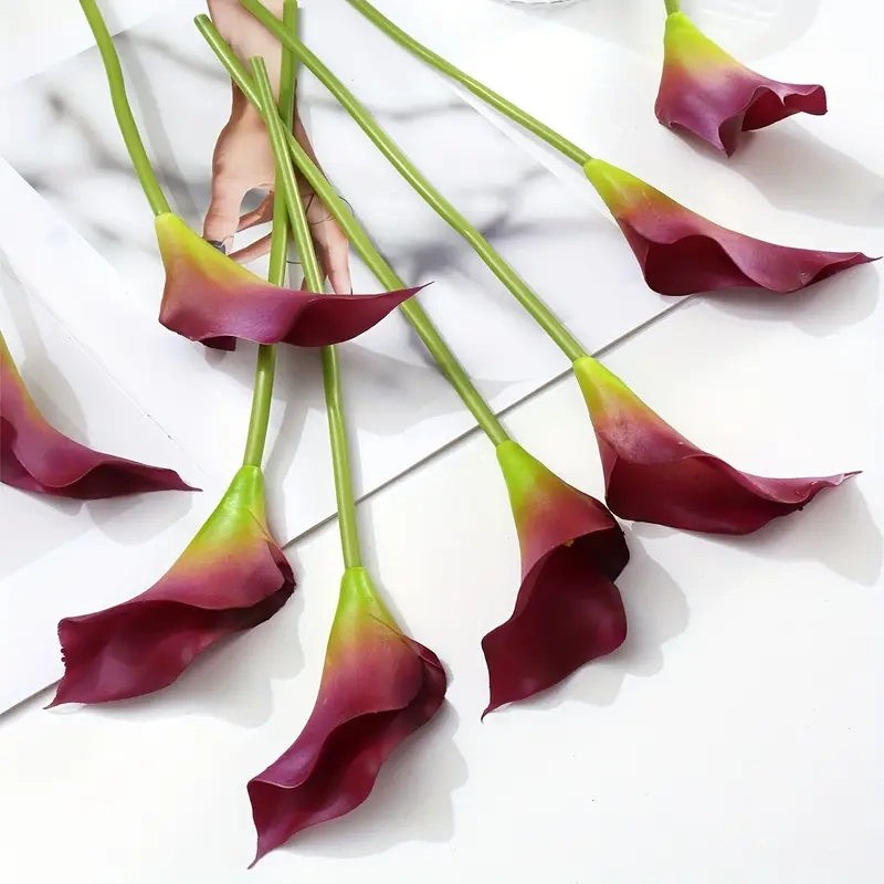 Hình ảnh hoa rum ghi lại nét đẹp thanh khiết