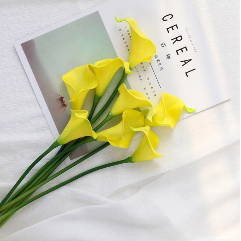 Hoa rum đẹp tỏa sắc tinh tế và sang trọng