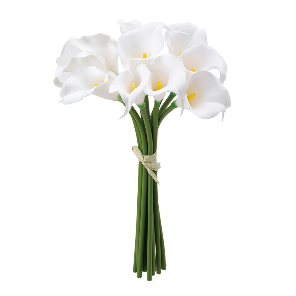 Xem hoa rum để cảm nhận vẻ đẹp thuần khiết