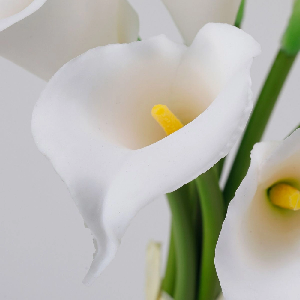 Hoa rum là hoa gì câu hỏi nhiều người quan tâm