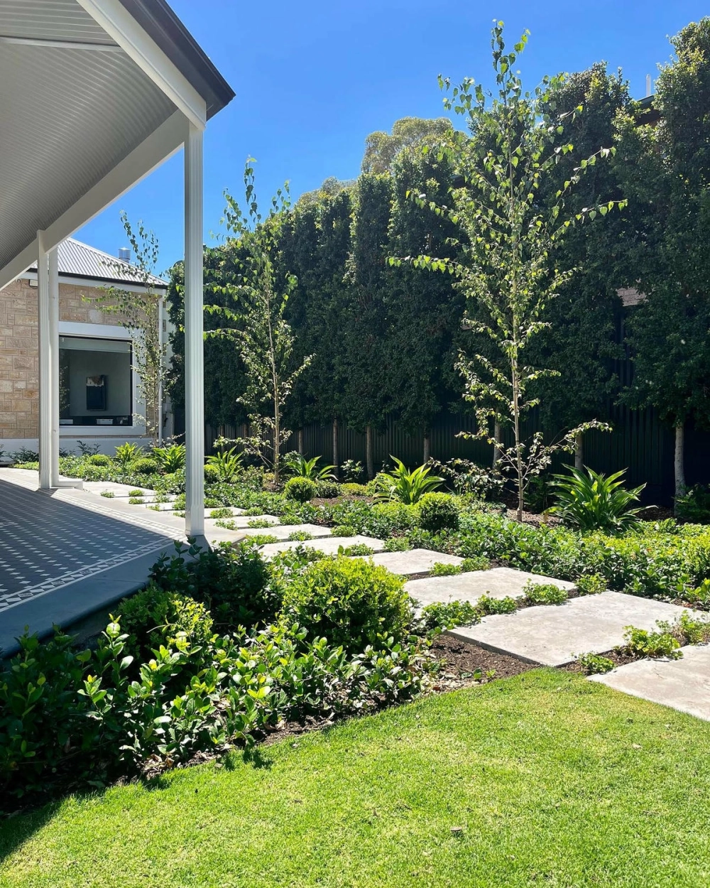 Những loại hoa trồng lối đi sân vườn khoe sắc rực rỡ