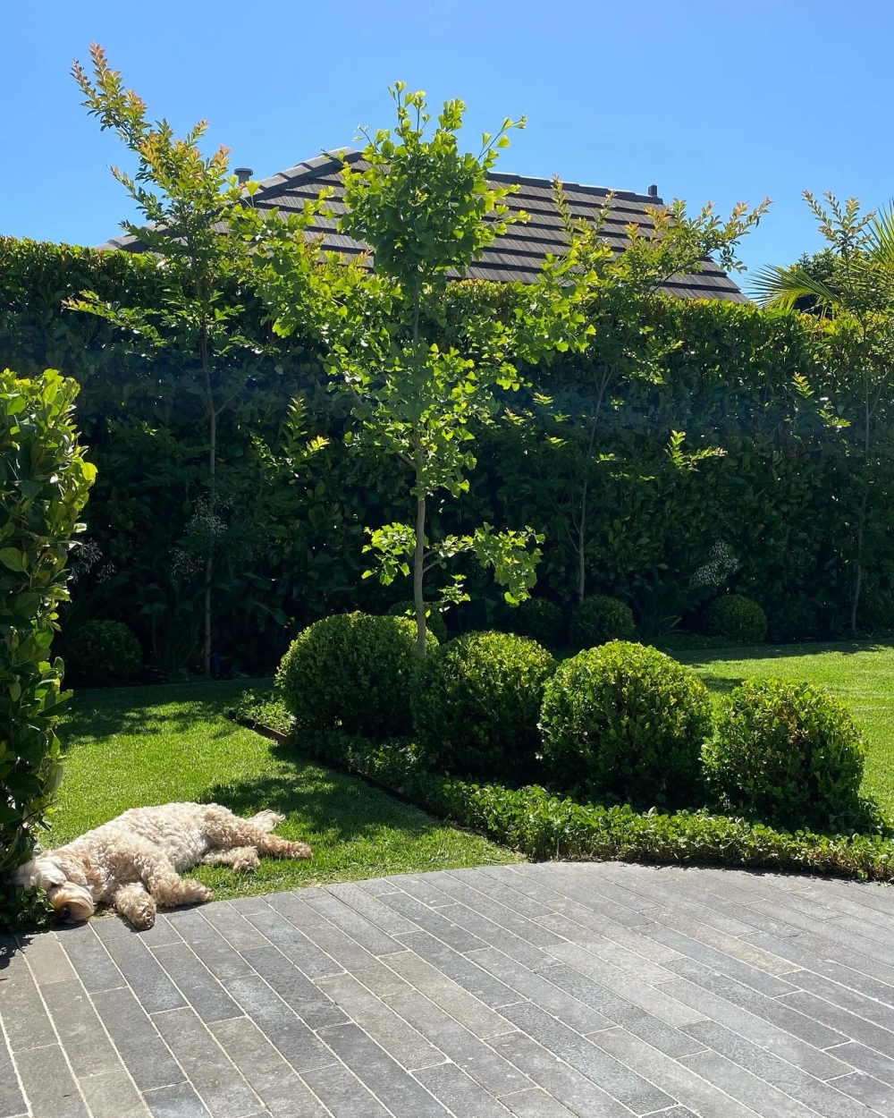 Sử dụng gạch lát lối đi sân vườn cho không gian cổ điển