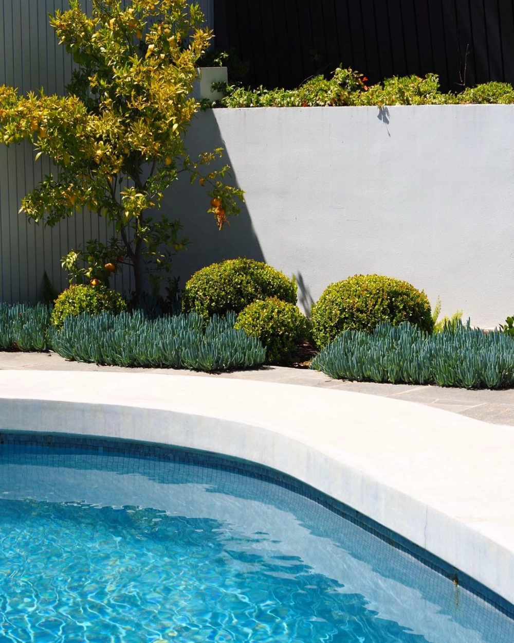 Catalog mẫu sân vườn đẹp với nhiều phong cách từ hiện đại đến cổ điển