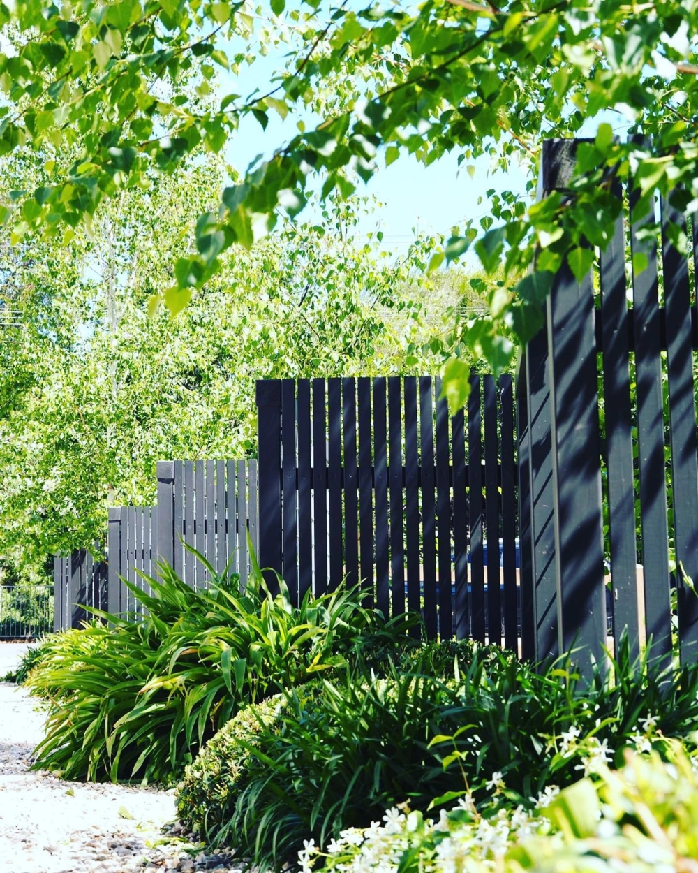 Thiết kế mẫu sân vườn đẹp dọc lối đi bên hông nhà tiết kiệm không gian