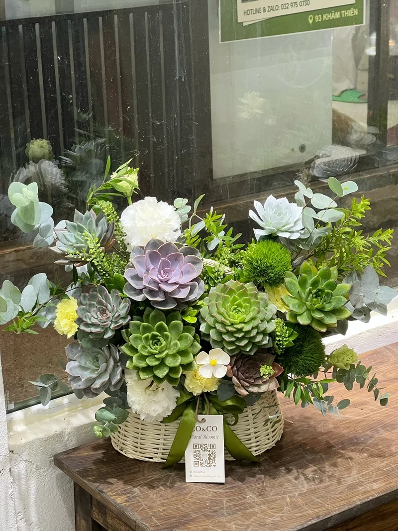 Chọn quà tặng sen đá đẹp để gửi gắm yêu thương