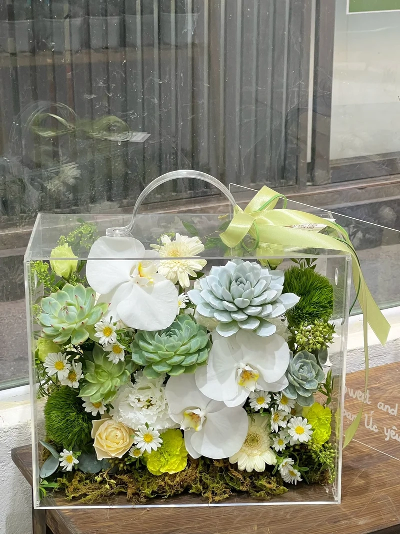 Mang may mắn với quà tặng sen đá ý nghĩa phong thủy