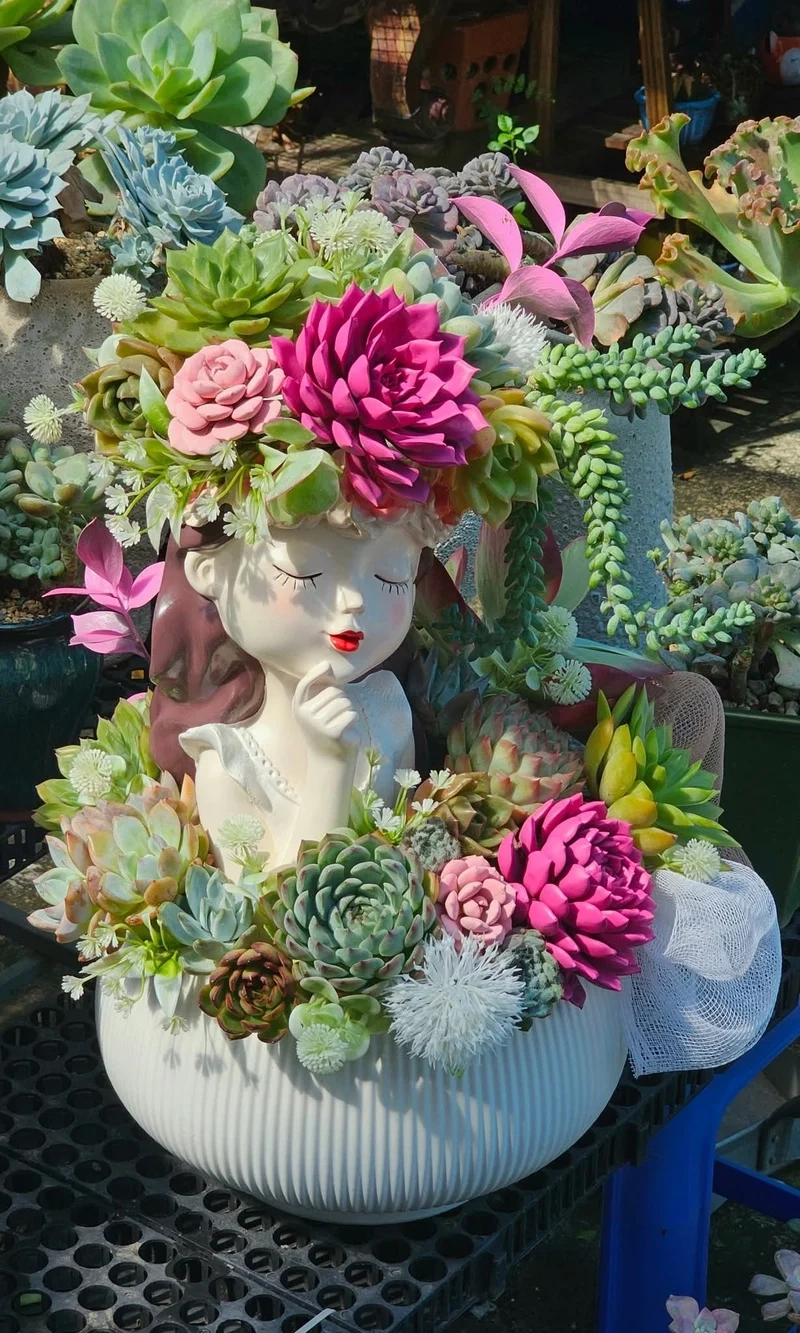 Decor xinh xắn nhờ quà tặng sen đá trang trí