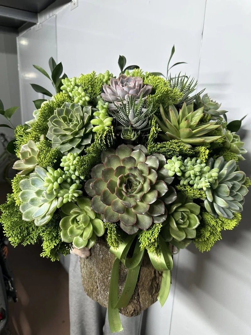 Quà xinh mà rẻ với quà tặng sen đá giá rẻ