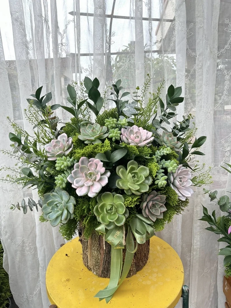 Thích hợp làm quà công ty với quà tặng sen đá doanh nghiệp